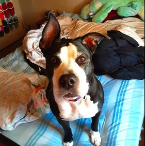 Meet your Posher, Natalia